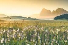 浙江足球捷报比分-浙江足球捷报频传，比分背后彰显崛起力量